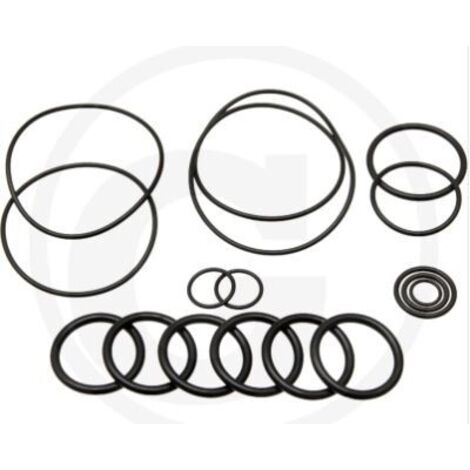 O-Ring-Satz für Membranpumpe BHA 130 AP C/C ANNOVI 6702446