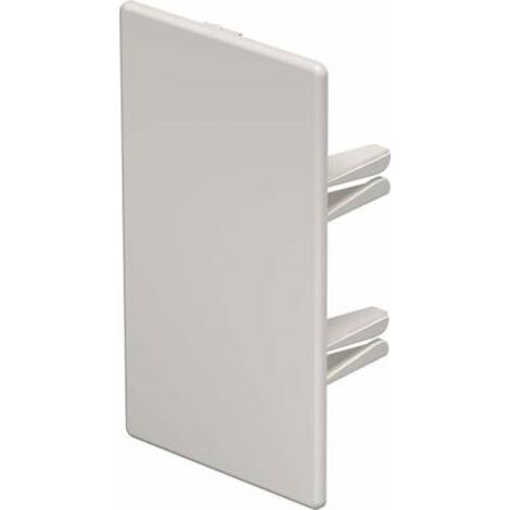 OBO Bettermann Terminale 60x110mm Cloruro di polivinile bianco crema RAL 9001, 6162827