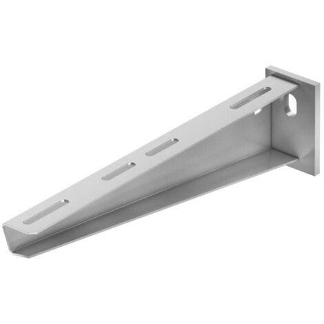 OBO Bettermann Vertr Wand- und Stielausleger mit Kopfplatte AW 30 61 FTK LGR