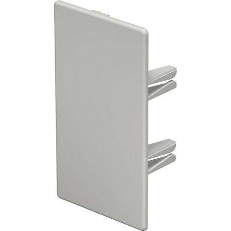 OBO Endstück WDK/HE 60110 60x110mm lichtgrau