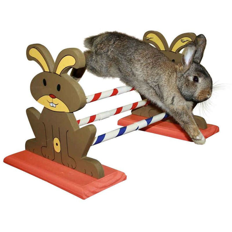Obstacle Agility Kaninhop, pour rongeurs et lapins, taille: 62 cm par 33 cm et 34 cm Kerbl