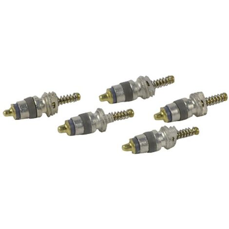 Obus valve expansion (X 5) - DIFF pour Chaffoteaux : 60036472