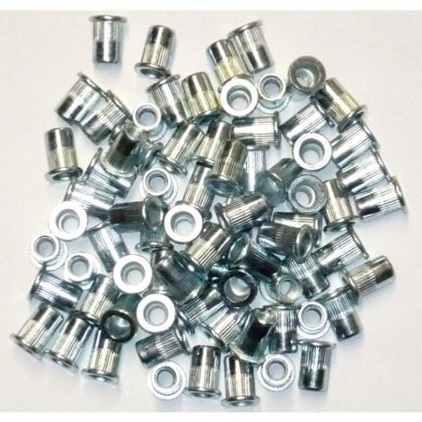 Oc-Pro – Inserts filetés en acier zingué 6 mm – Lot de 75 – Pas 6x100 pour fixation robuste dans matériaux 0,5 à 3 mm d'épaisseur