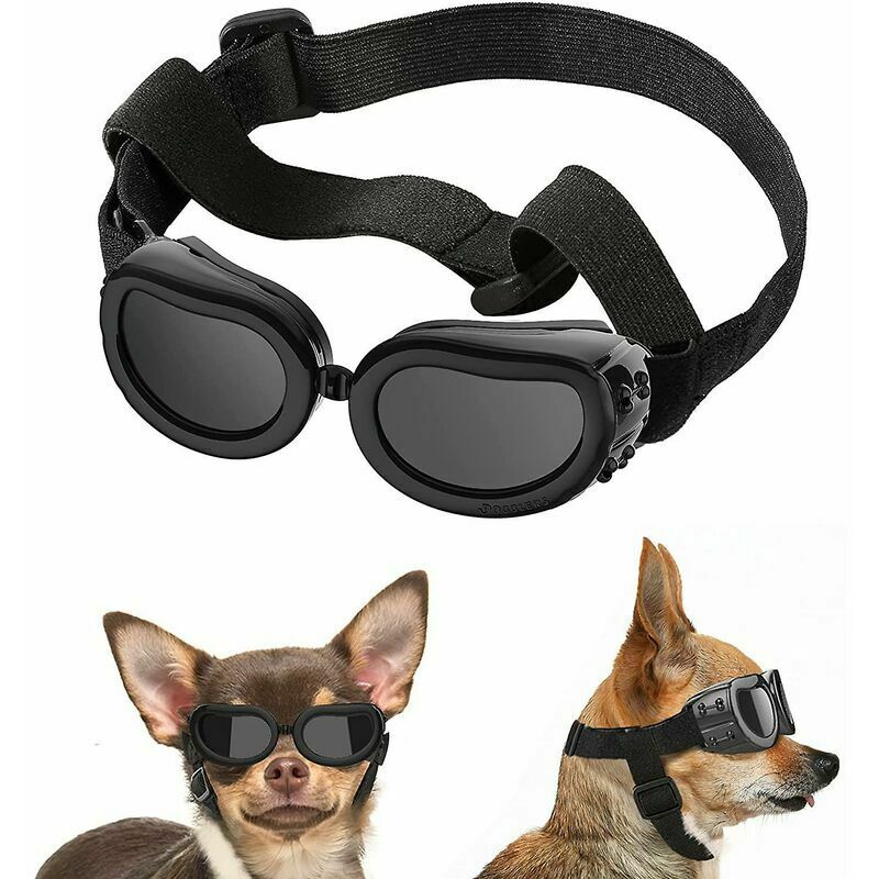 Occhiali con cinturino regolabile per cani di