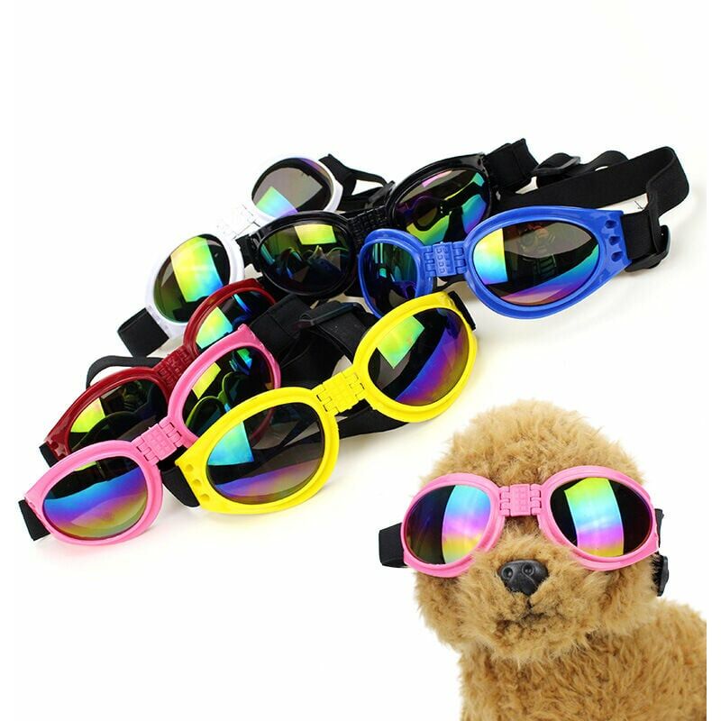 Occhiali Netive Pet Dog Occhiali da sole