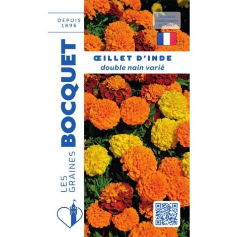 Oeillet d'Inde double nain varié - 1,2g