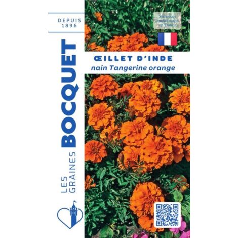 Oeillet d'Inde Tangerine orange - 1,2g
