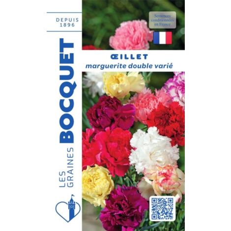 Oeillet marguerite annuel varié - 0,5g