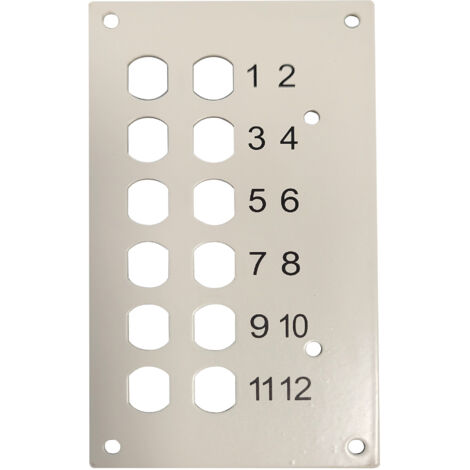 Oem Pannello Frontale 12 Connessioni ST-Simplex per Box Ottico
