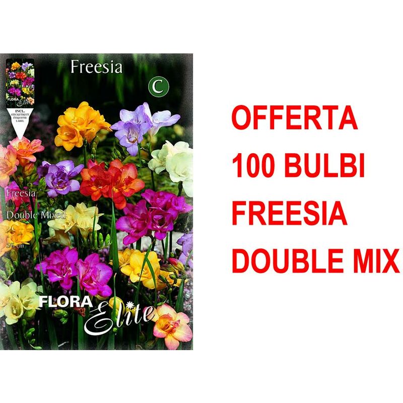 Offre 100 Bulbes Freesia Double Mix