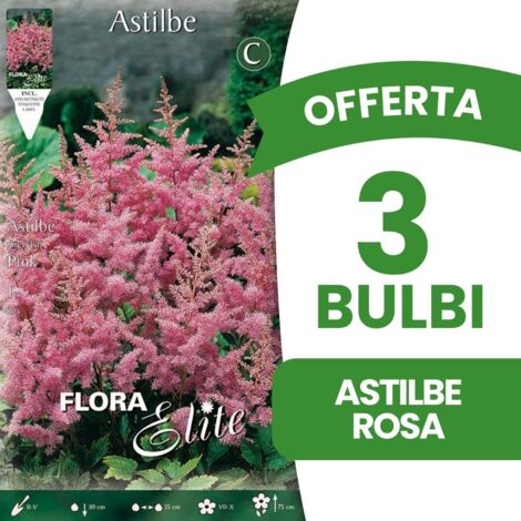 OFFERTA 3 BULBI ASTILBE ROSA