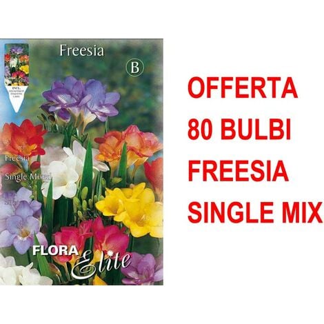 Compra 10 lumini profumati con fiori tropicali assortiti all'ingrosso