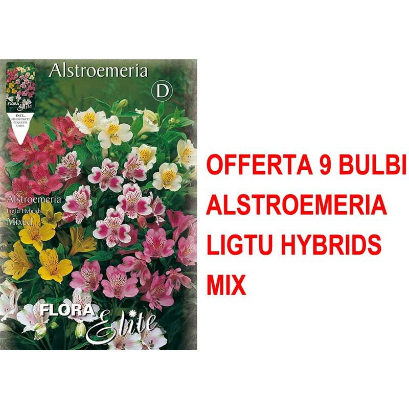 Peragashop - offre 9 bulbes de mélange hybrides alstroemeria ligtu