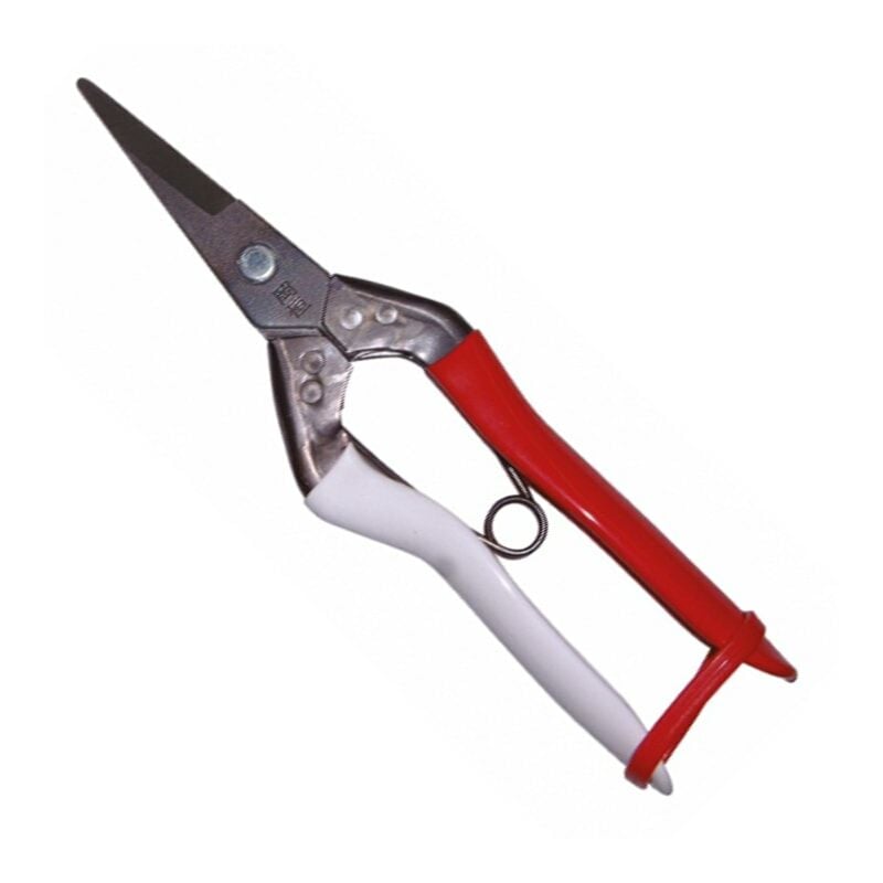 304 Long Blade Floral Shears - Okatsune