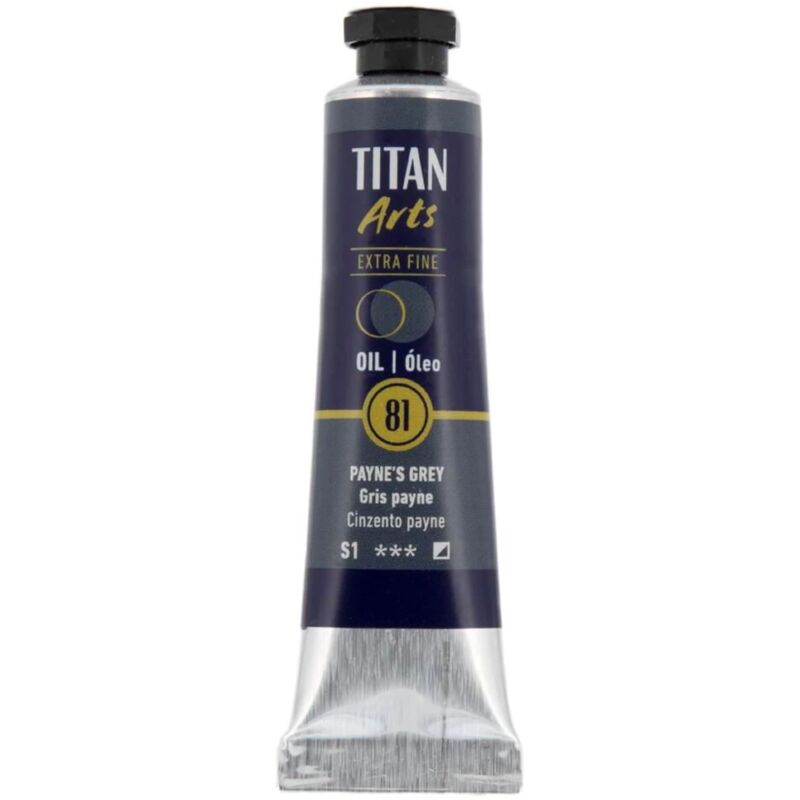 

OLEO EXTRA FINO TITAN 20 ML | COLOR: 81 GRIS PAYNE serie 1 - 81 GRIS PAYNE serie 1