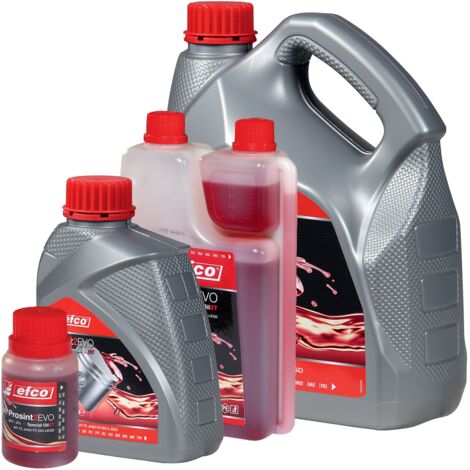 OLIO PROSINT 2 EVO 2 TEMPI TANICA 5 LT