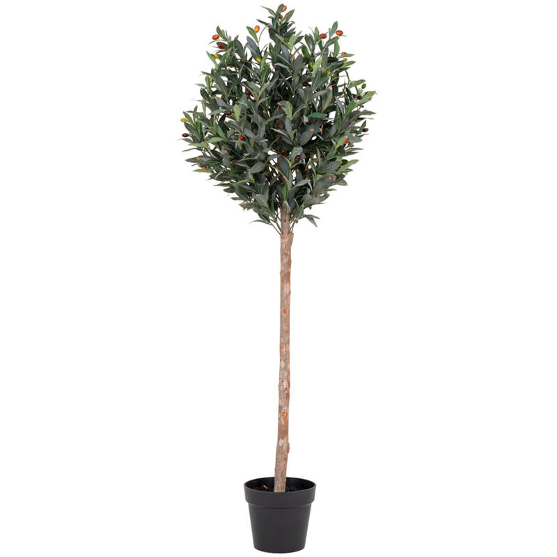 House Nordic - Oliventræ plante artificielle H150 cm verte.