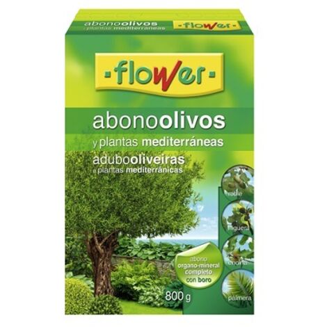 Olives et plantes mditerranennes fleur - 800 gr