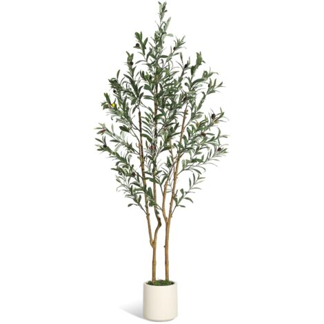 Olivier artificiel 150 cm – tronc naturel, fruits réalistes, pot blanc imitation céramique et mousse verte – Déco intérieur salon moderne bureau