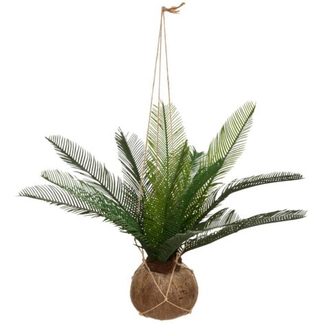 Olla de coco de palma Cuba H 50