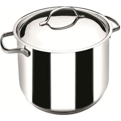 OLLA RECTA BASIC