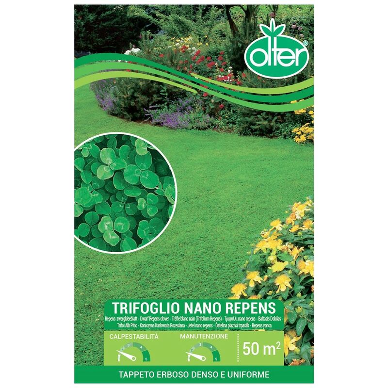 Trifoglio Nano Repens Olter Disponibile nei Formati 100 - 500 gr - size 500 gr