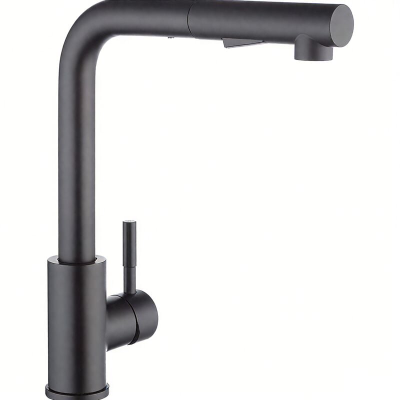 Robinet Cuisine Douchette Noir avec 2 Modes de Pulvérisation, avec Douchette Extractible, Robinetterie de Cuisine Inox 304