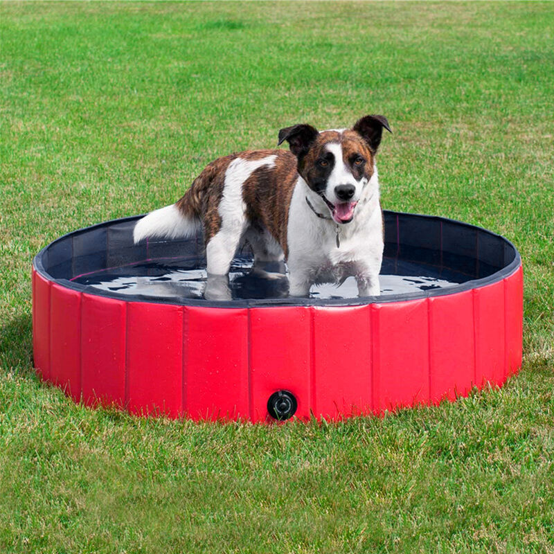 

® bañera para perros, piscina para perros piscina infantil para niños y perros, bañera para perros plegable 120x30cm Rojo - Oobest