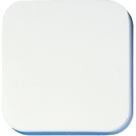 Opus 560.401.02 bascule pour interrupteur et bouton poussoir – Neutre, sans Symbole, blanc pur