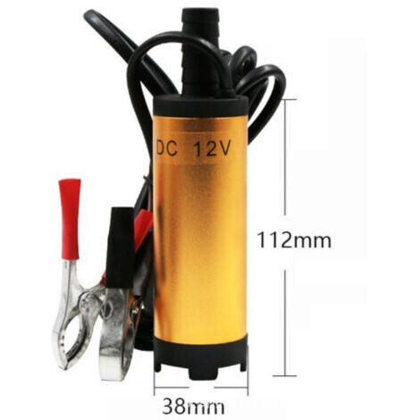 or Pompe submersible électrique DC 12V pompes submersibles en acier inoxydable pour l'eau huile kérosène 12 L/min outil de ravitaillement