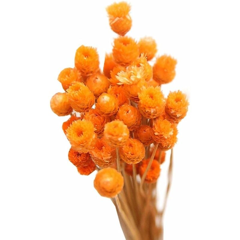 Orange - Fleurs Artificis, Bouquet Séché Bouquet Naturel Fleurs Séchées Vase Décoratif Table 50 Tiges Orange