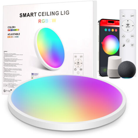 Oraymin Plafonnier LED Intelligent Ø30cm 22W 2200lm - WiFi & Bluetooth - CCT Dimmable (3000K-6500K) + RGB avec Modes Scènes - Design Moderne pour Salon, Chambre, Cuisine