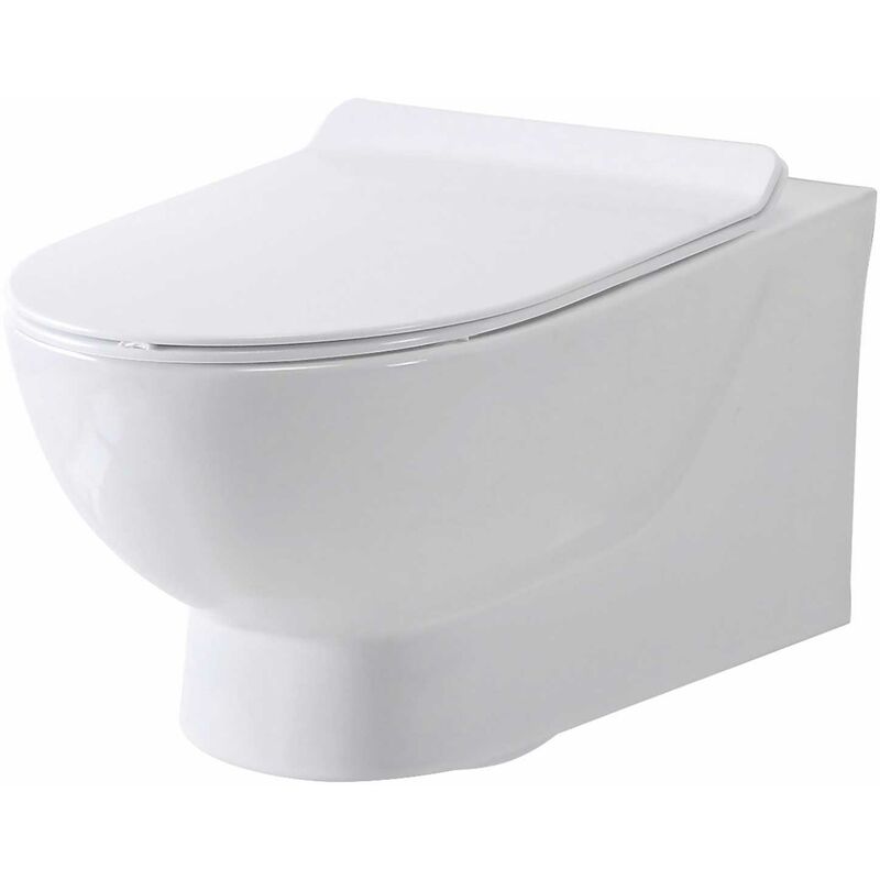 Riva Rimless Wall Hung Toilet Pan 495mm Projection - White - Orbit
