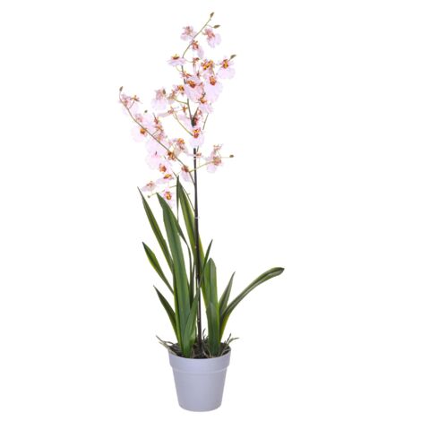 Orchidea Artificiali Oncidium con Vaso Altezza 40 cm Rosa