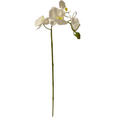 Orchidea Phalenopsis Olis Ramo singolo Bianco h 70 cm