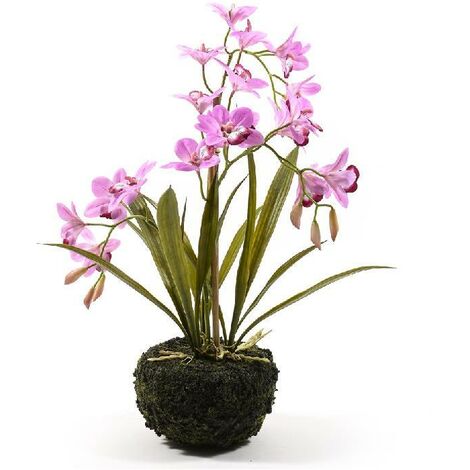 Kit rinvaso orchidee completo - Vaso trasparente Ø 13 cm +