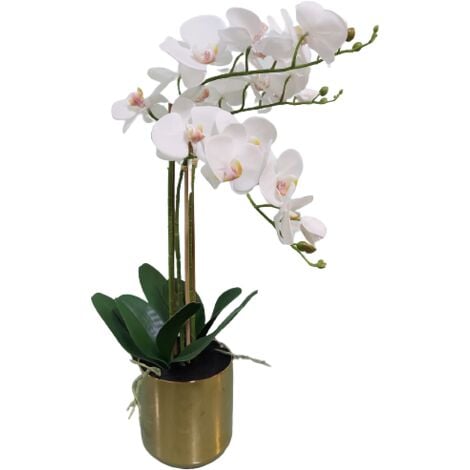 Phalaenopsis artificiale 27cm composizione di orchidee finte Oceania con  vaso, fiori artificiali in vaso Phalaenopsis Orch - AliExpress