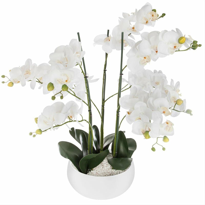 Silumen - Orchidée Artificielle 65cm avec Pot en Céramique - Couleur Uni - - Blanc|Noir