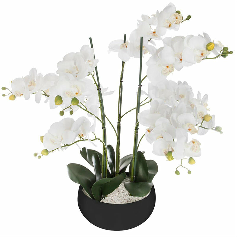 Orchidée Artificielle 65cm avec Pot en Céramique - Couleur Uni - - Blanc|Noir