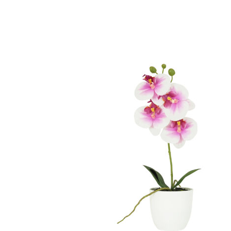 Orchidée artificielle blanc-fuchsia 35cm