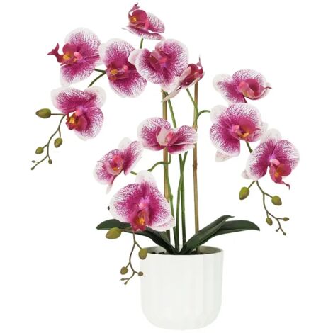 Orchidée artificielle blanc-fuchsia 50cm