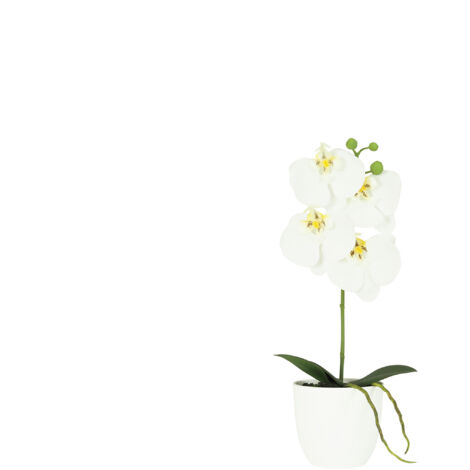 Orchidée artificielle blanche 35cm