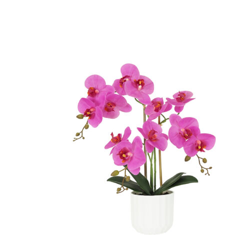 Orchidée artificielle fuchsia 50cm