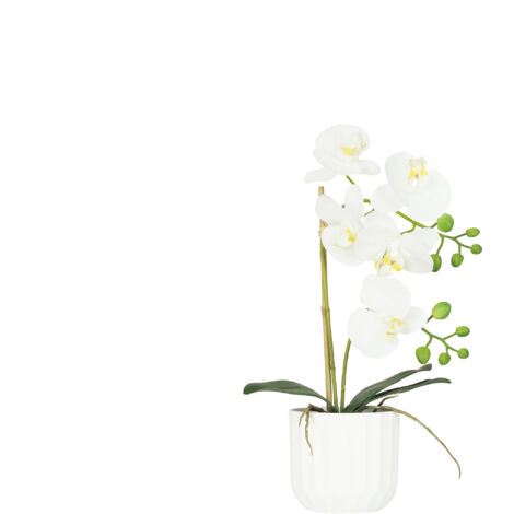 Orchidée artificielle toucher naturel 40cm