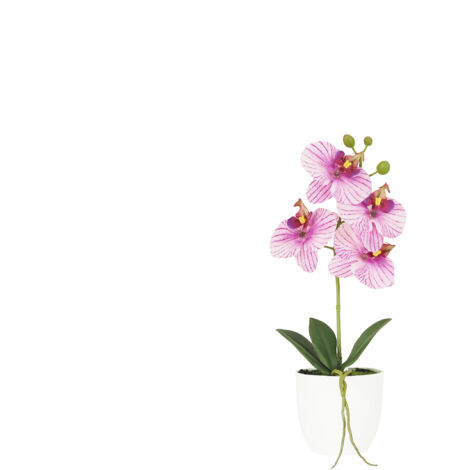 Orchidée artificielle veinée 35cm