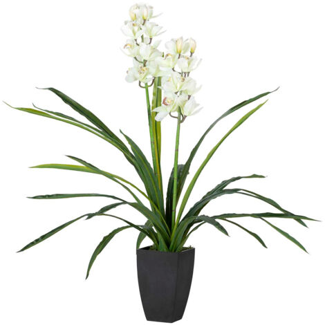 Orchidée Cymbidium 60 x 60 x 100 cm