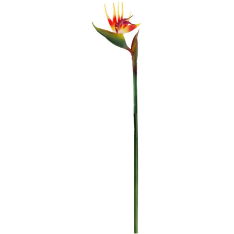 Orchidée de Grue D'oiseau de Paradis de Silicone pour la Décoration de Jardin à la Maison Décor de Fête de Mariage (Z)