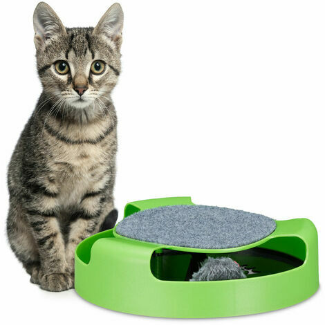 orchidée-Jouet chat, chatons, circuit rond avec souris, griffoir, occupation, interactif, H x D 7 x 25,5 cm, vert
