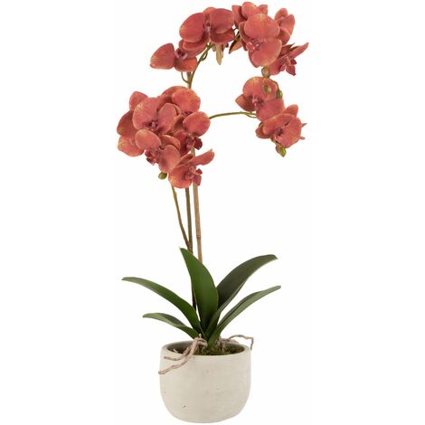 Orchidée + pot plastique/ciment rouge fonce/beige h. 57 cm - Rouge