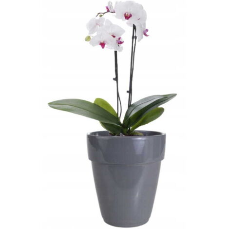 Orchideentopf aus Keramik, grau, 13 x 14 cm